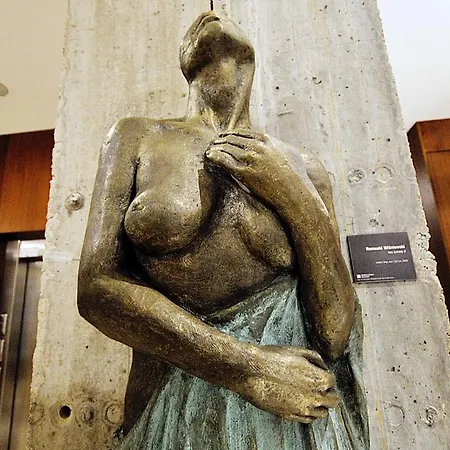 319 W Royal Tulip 200 M Do Plazy Dobruk Jacuzzi W Obiekcie Apartmán *