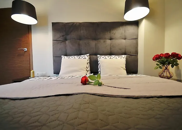 319 W Royal Tulip 200 M Do Plazy Dobruk Jacuzzi W Obiekcie